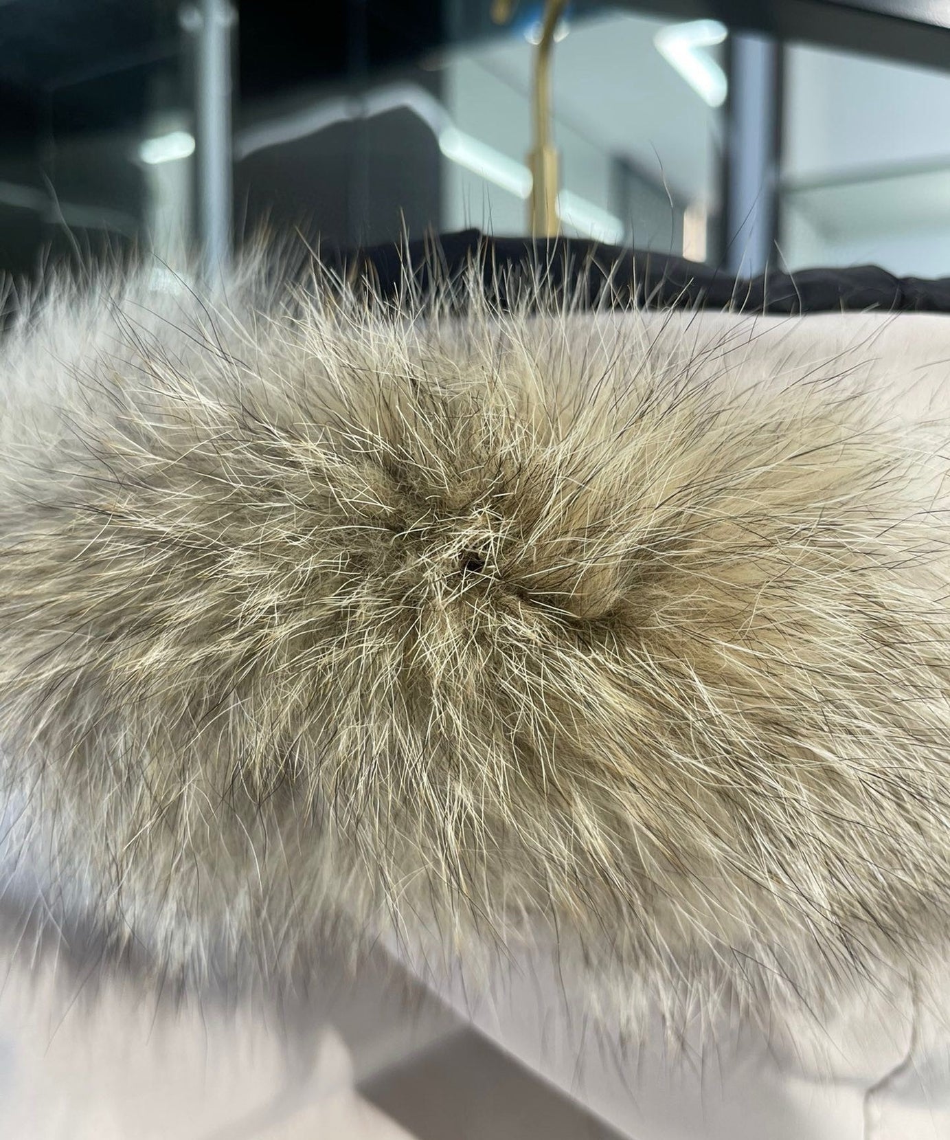 Shelburne Canadian Jackets