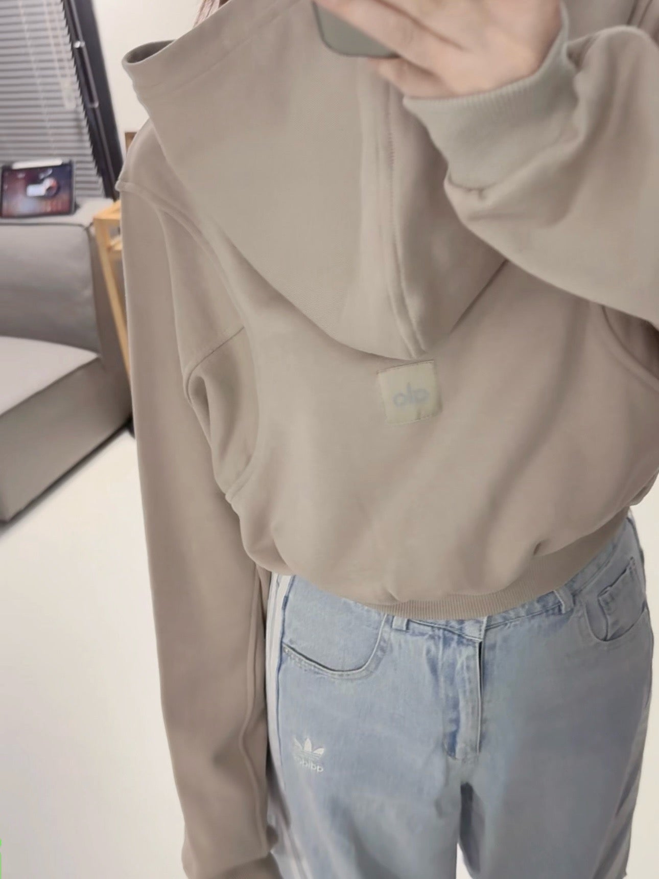 A L O Cropped Hoodies