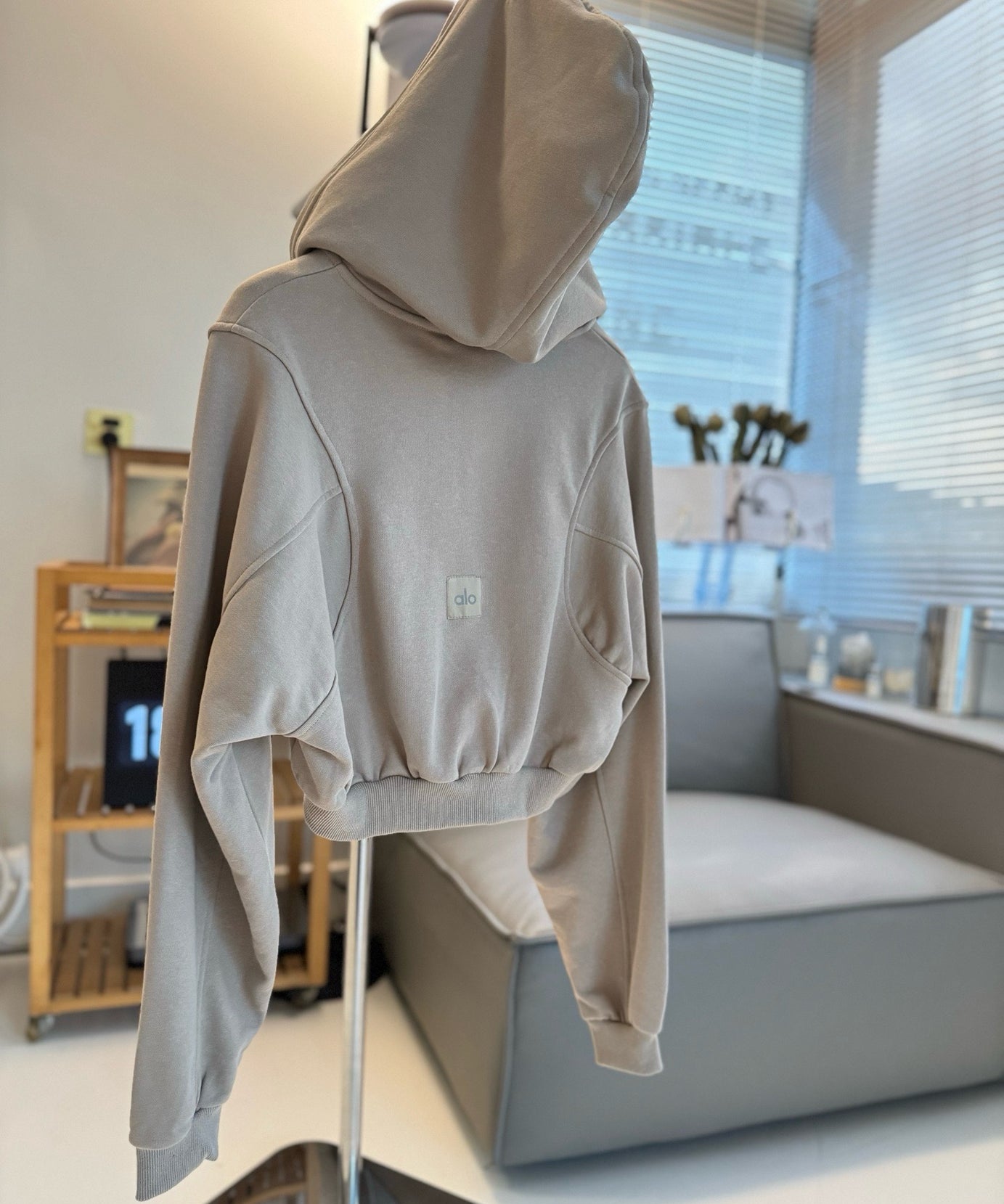 A L O Cropped Hoodies