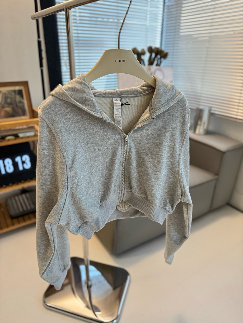 A L O Cropped Hoodies