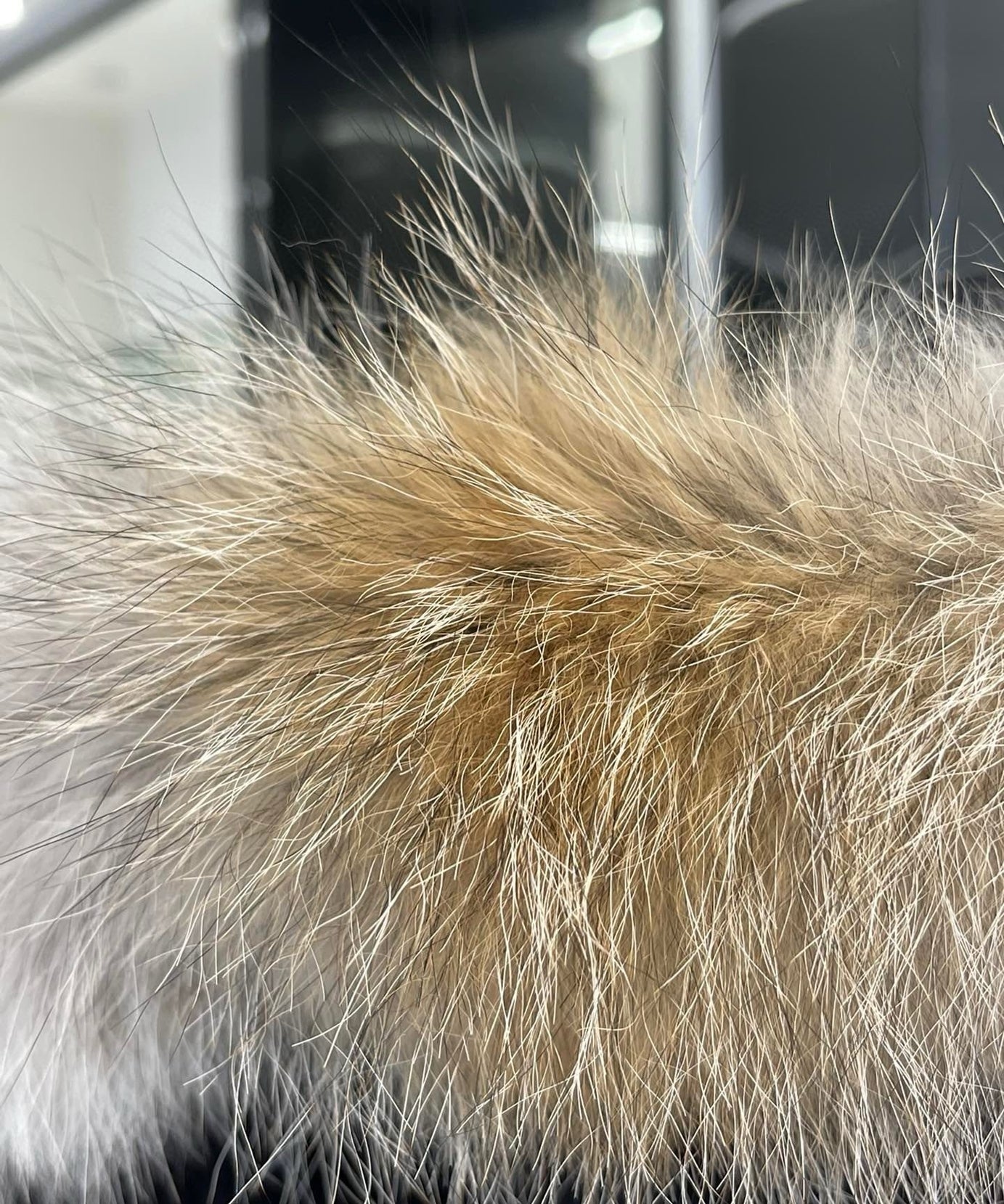 Shelburne Canadian Jackets