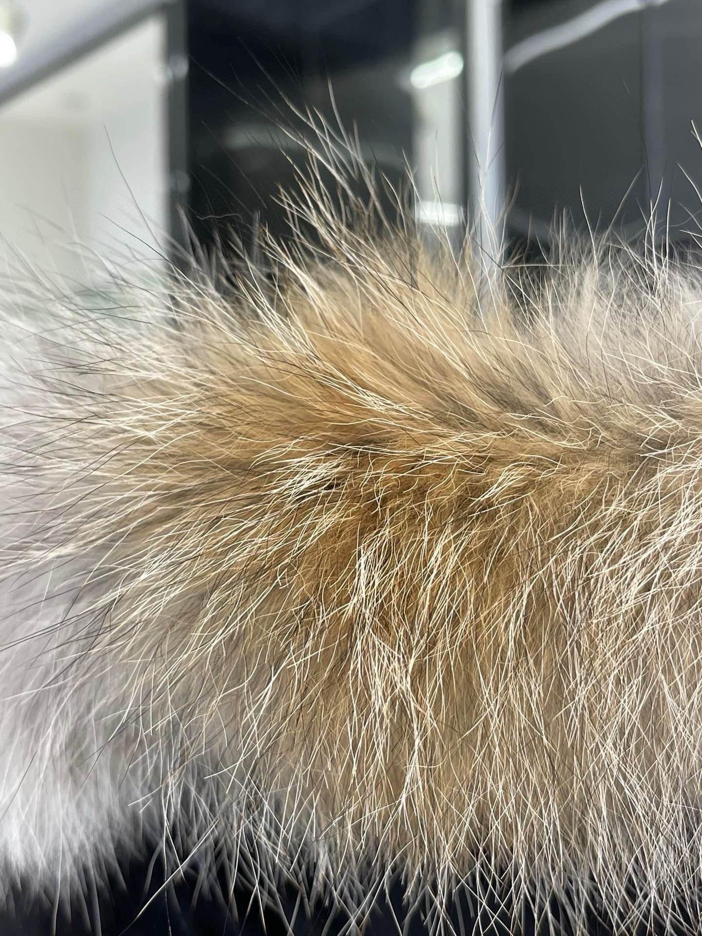 Shelburne Canadian Jackets